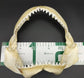 オオメジロザメ 顎標本 幅25cm [Bull Shark] Jaw specimen